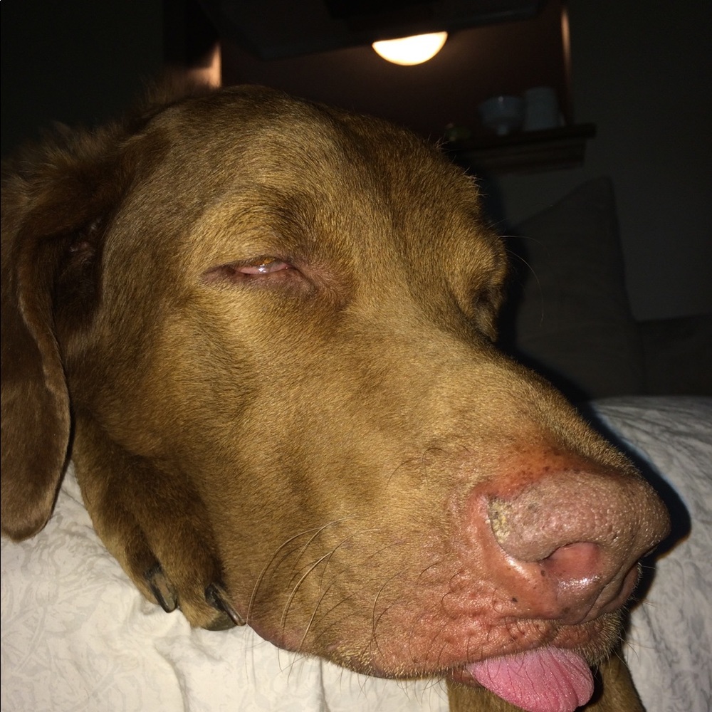 Meet your Posher, Bryan